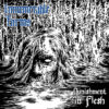 Innumerable Forms – Punishment In Flesh