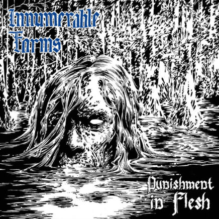 innumerable-forms-punishment-in-flesh