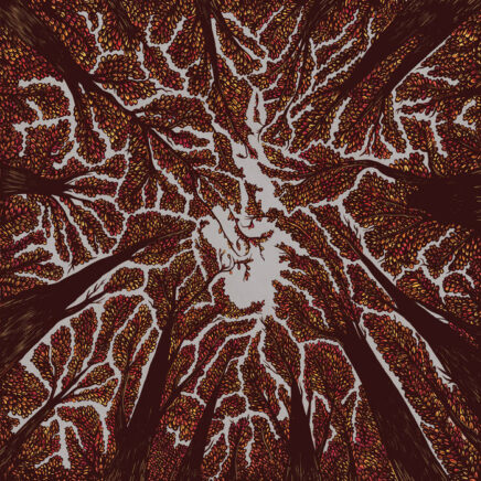 trash-boat-crown-shyness