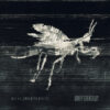 Defying Decay – Metamorphosis