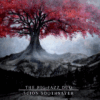 The Big Jazz Duo – Scion – Soothsayer