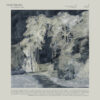 Constellatia – The Language Of Limbs