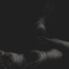 Fawn Limbs – Their Holes Aroused by the Splinters Carved From Their Teeth
