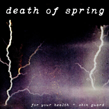 shin-guard-for-your-health-death-of-spring