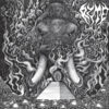 Ryte – S/T