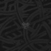 Bible Black Tyrant – Encased In Iron