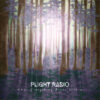 Plight Radio – When Everything Burns Within