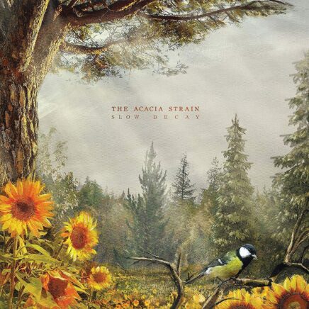 the-acacia-strain-slow-decay