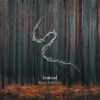 Lunatic Soul – Through Shaded Woods