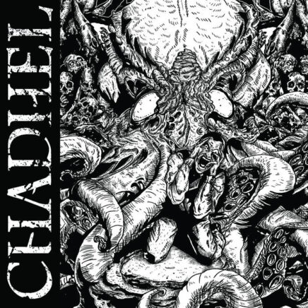 chadhel-assiduous-assault-split