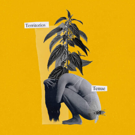 Tenue – Territorios