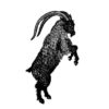 YRRE – Luhlae x The Witch