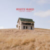 White Ward – False Light
