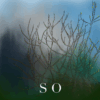 Laurent Damont – SO / NN