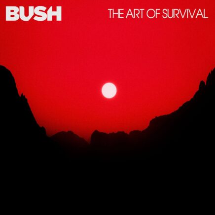 bush-the-art-of-survival