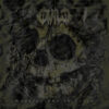 Child – Meditations In Filth
