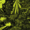Vile Ritual – Caverns Of Occultic Hatred