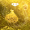 SUP – Octa