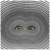 Circuit Circuit – Body Songs