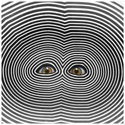 Circuit Circuit – Body Songs