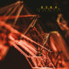 Bear – Vanta