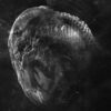 Madre – Embryo