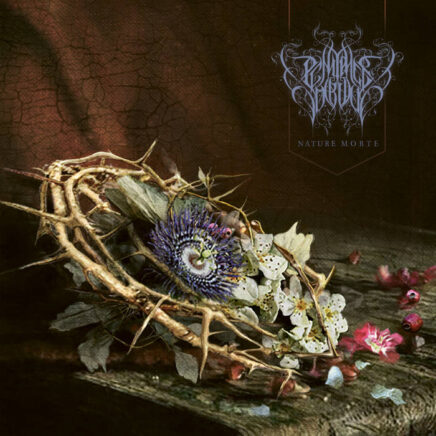 penitence-onirique-nature-morte