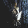 Fawn Limbs & Nadja – Vestigial Spectra