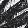 Capsule – Ferox