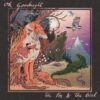 Ok Goodnight – The Fox and the Bird