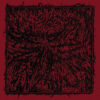 Sulfuric Hatred – S/T