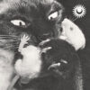 Servo – Monsters