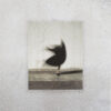 Contrevents – S/T