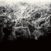Offernat – Where Nothing Grows