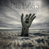 The Black Enderkid – Symptom Of Decline