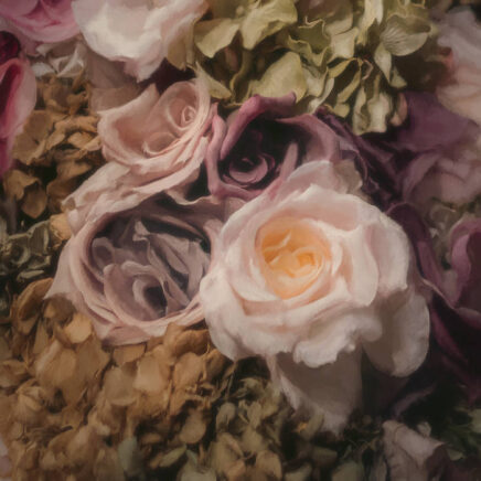 blanket-ceremonia