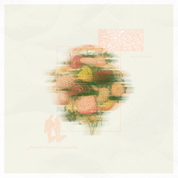 Beach Novels – Flowers From Your Garden