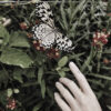 Omsorg – Echoes