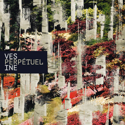 vesperine-perpetuel
