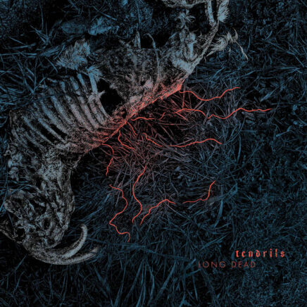 tendrils-long-dead