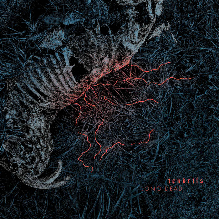 Tendrils – Long Dead