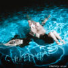 Chokecherry – Messy Star