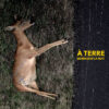 À TERRE – Embrasser La Nuit