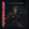 Necrodancer – Acts Of Chaos Require Halberds And Late Night Sandwiches