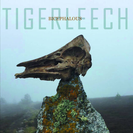 Tigerleech – Bicephalous
