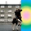Honningbarna – Soft Spot