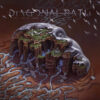 Diagonal Path – This Was an Ocean