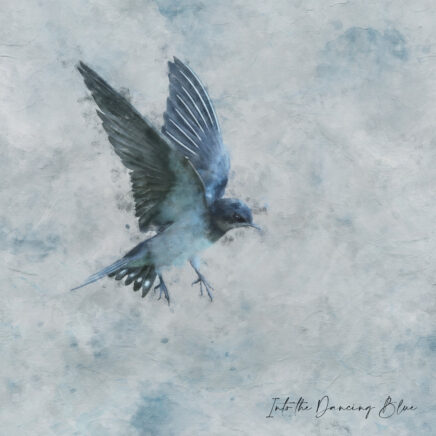 You Win Again Gravity – Into the Dancing Blue