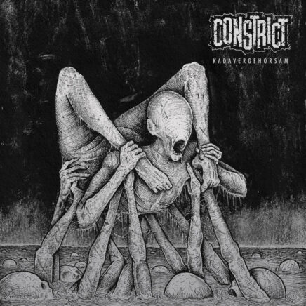 constrict-kadavergehorsam