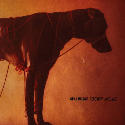 Still In Love – Recovery Language